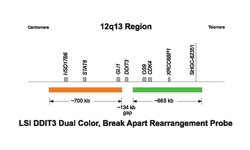 DDIT3 break apart